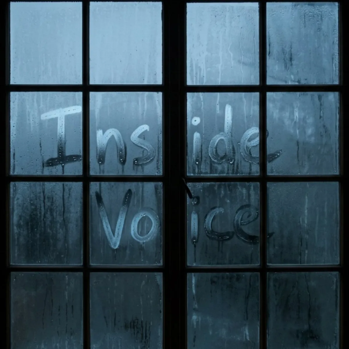 Inside Voice cover